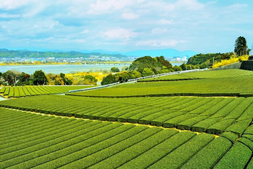 地元で安定して働ける企業